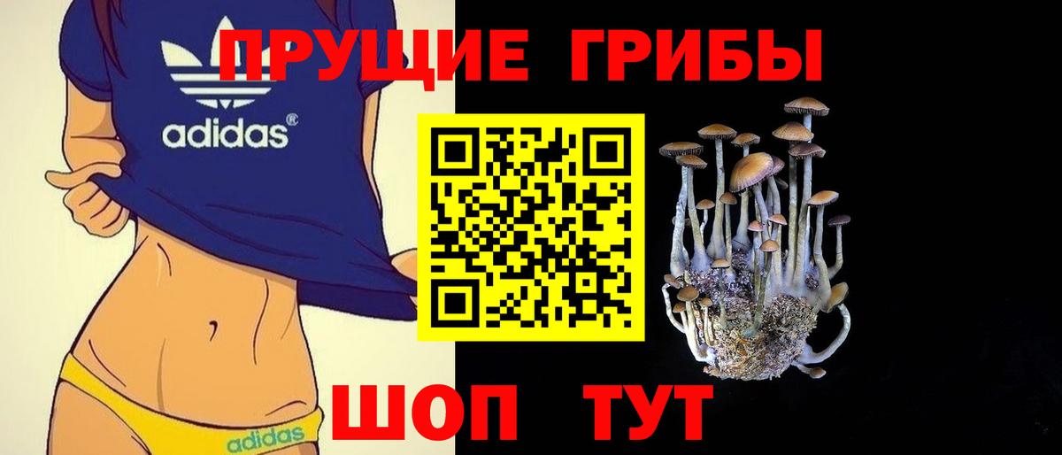 Псилоцибиновые грибы GOLDEN TEACHER Рыбинск