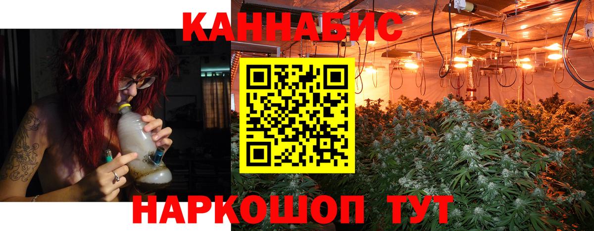 Шишки марихуана план Рыбинск